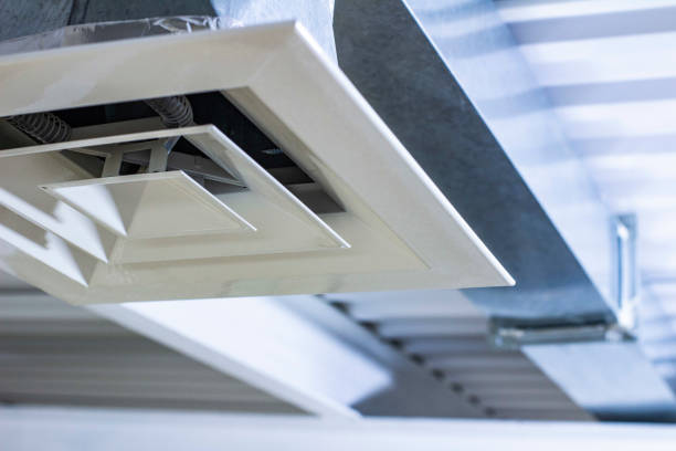 Best Home Air Vent Cleaning  in Basalt, CO