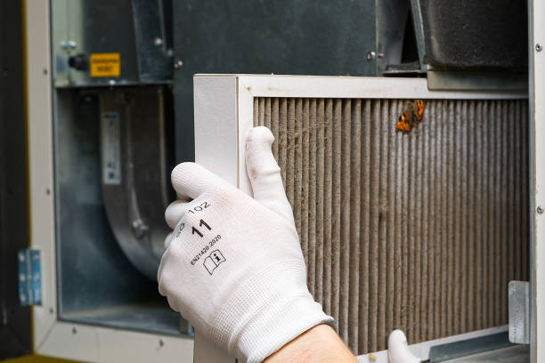 Best Local Air Duct Cleaning Services  in Basalt, CO
