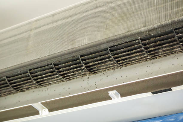 Best HVAC Air Duct Cleaning  in Basalt, CO